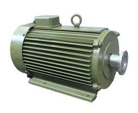 TYFD稀土永磁防水同步發電機